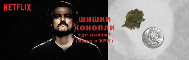 дурь Алзамай