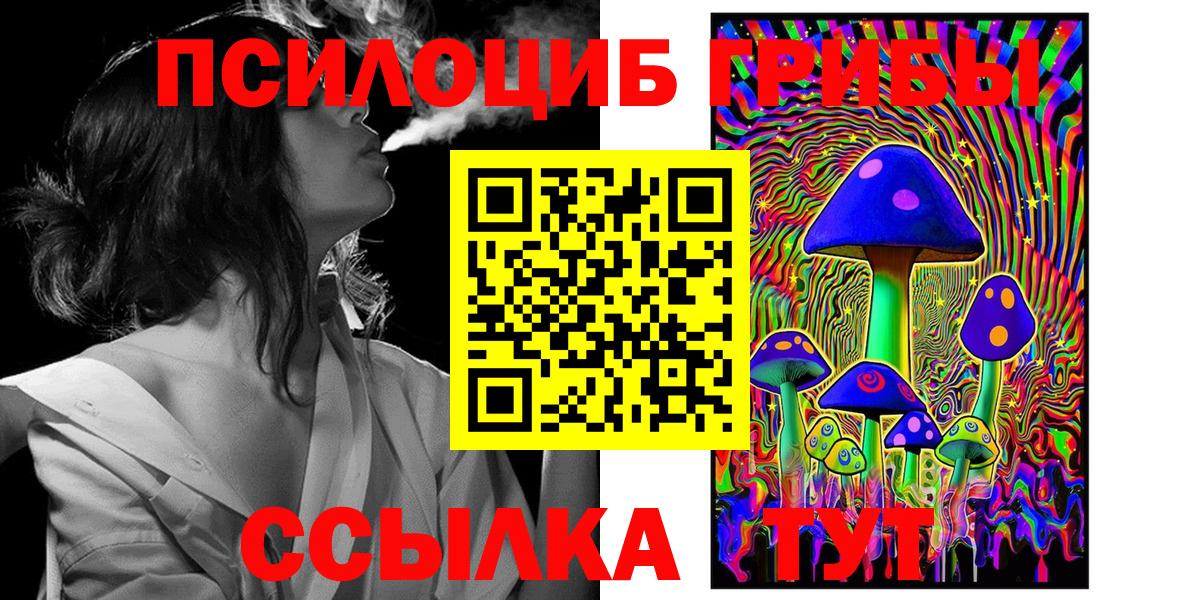 Псилоцибиновые грибы Psilocybine cubensis  Вход с VPN  Волхов 